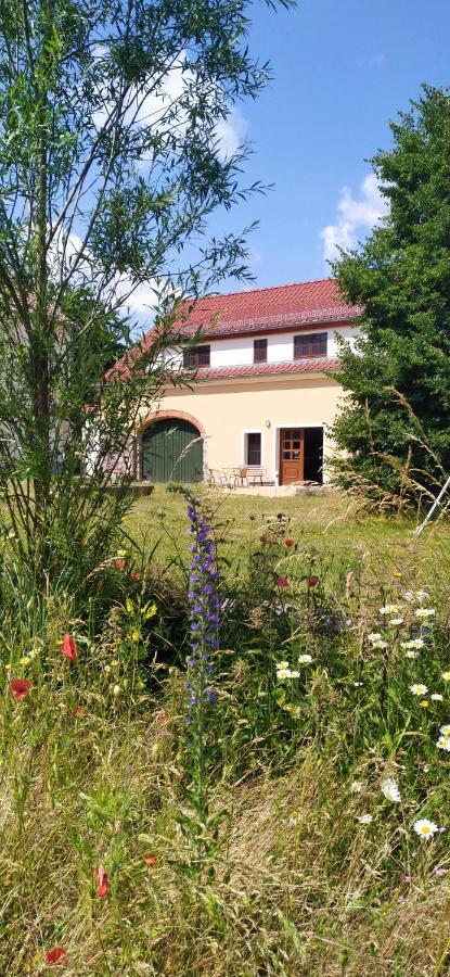 Ferienhof-Kuehn Hochkirch Exteriér fotografie