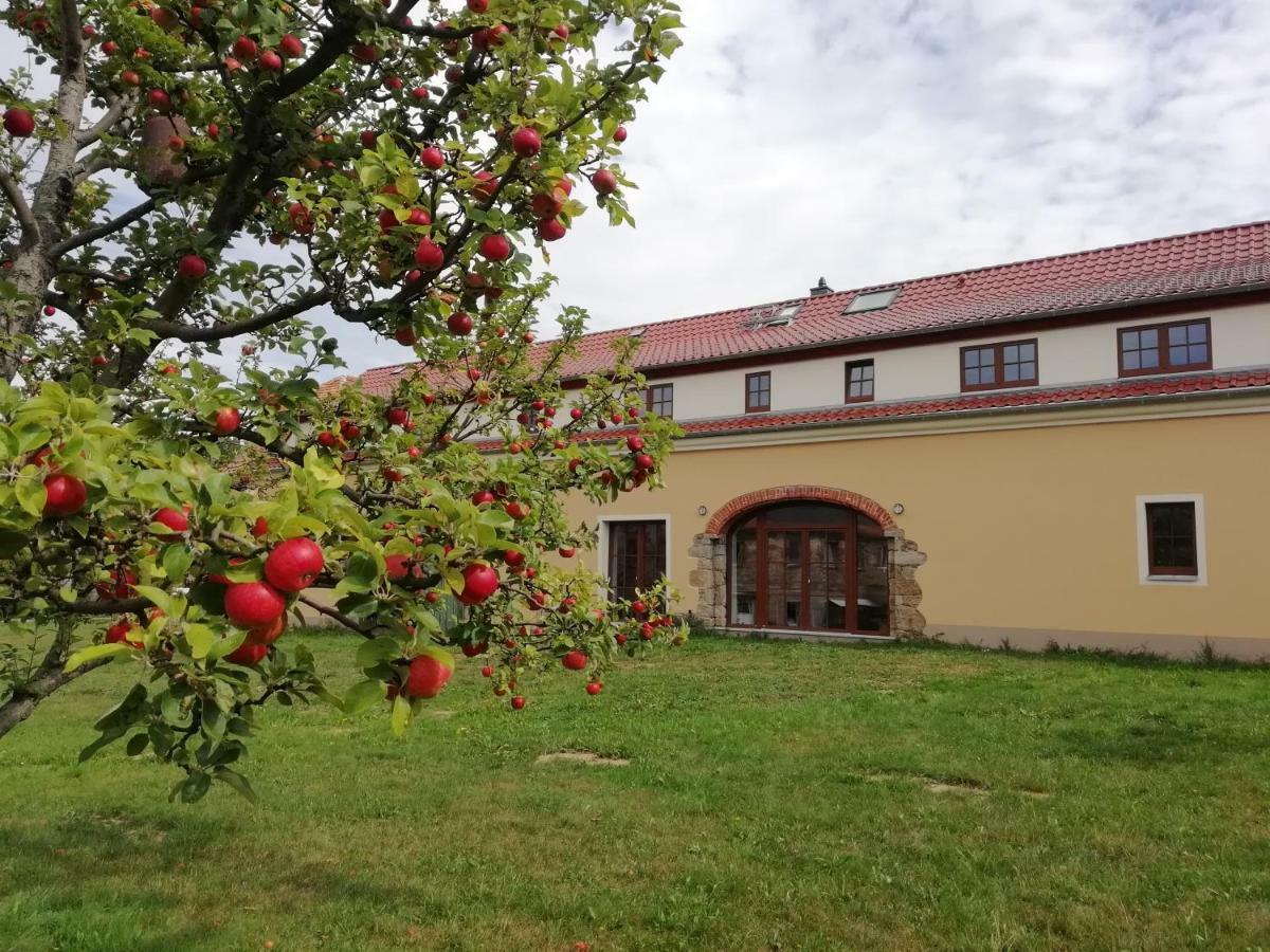 Ferienhof-Kuehn Hochkirch Exteriér fotografie